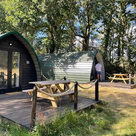 Nightjar Cabin At Cloudshill Glade Wareham Bagian luar foto