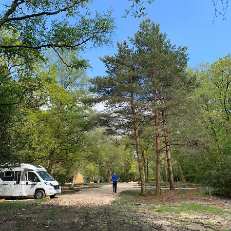 Nightjar Cabin At Cloudshill Glade Wareham Bagian luar foto