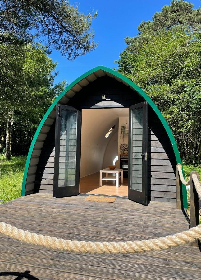 Nightjar Cabin At Cloudshill Glade Wareham Bagian luar foto