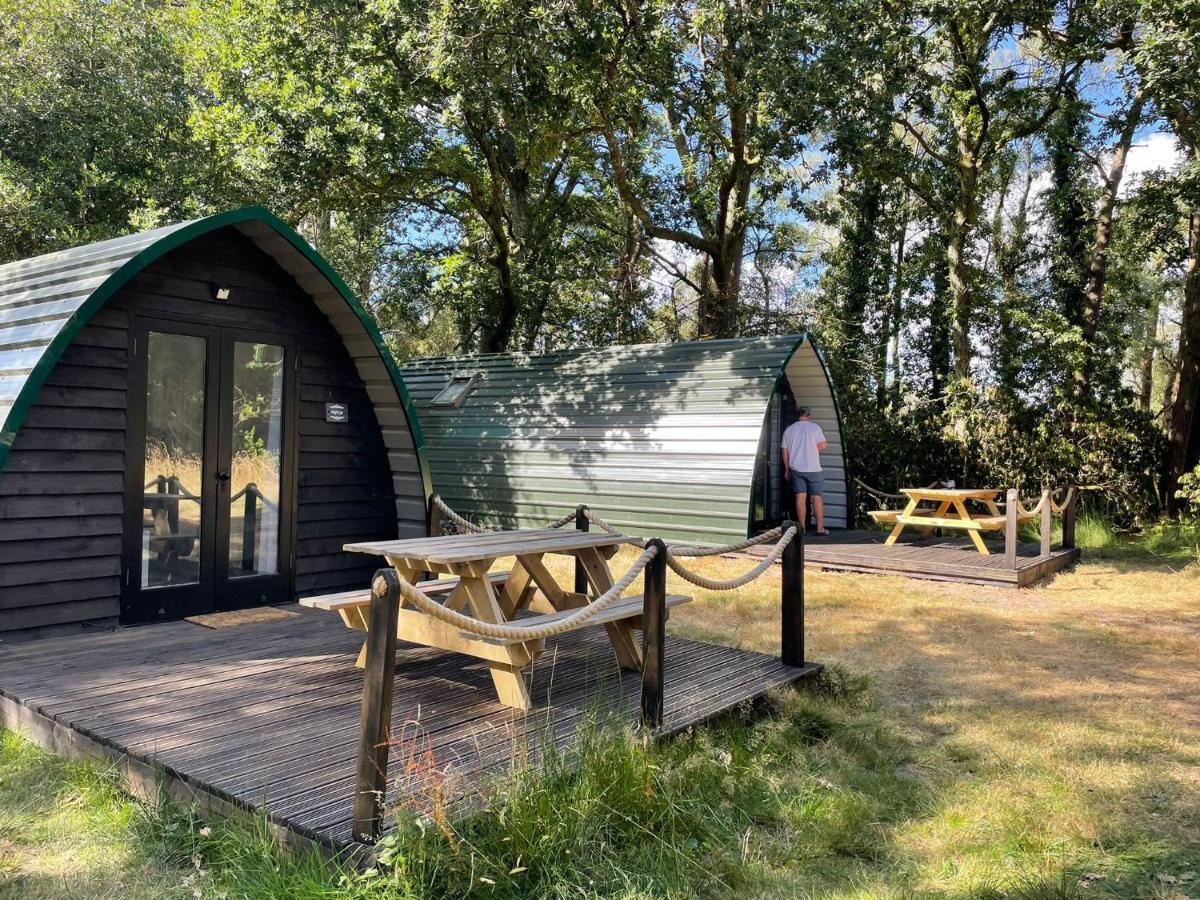 Nightjar Cabin At Cloudshill Glade Wareham Bagian luar foto