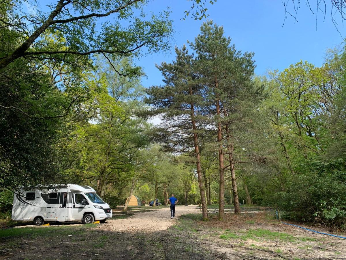 Nightjar Cabin At Cloudshill Glade Wareham Bagian luar foto